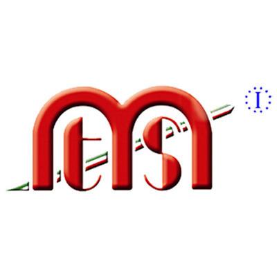 MTS SRL logo
