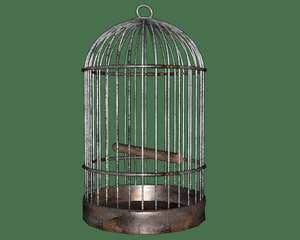 Cage à oiseaux en métal, grande cage pour oiseaux, cages de vol pour animaux de compagnie avec support à roulettes - Product Image 2
