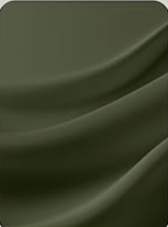 HAWK SPORTS INDUSTRIES Leggings de sport sans couture taille haute pour femme, longueur intégrale, vert olive, respirant et extensible pour l'entraînement - Product Image 4