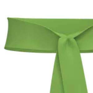 Cinturón de Tela Personalizado con Banda de Color, Acabado Suave y Cómodo, Accesorio Formal para Desfiles, Eventos y Vestimenta Tradicional - Product Image 5