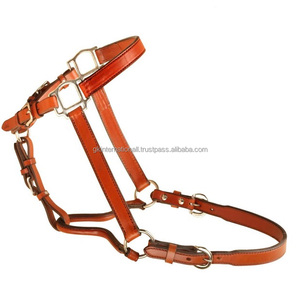 Halter d'exposition en cuir fait à la main de qualité supérieure avec boucle à double couronne réglable en plomb assorti - Product Image 1