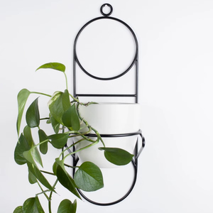 Support de plante suspendu en fer moderne, conçu pour les maisons élégantes, rehaussant les plantes suspendues avec des lignes épurées - Product Image 1