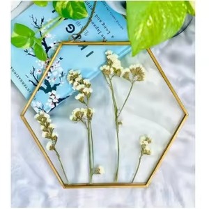 Contemporary <b>Picture</b> <b>Frame</b> Metal Glass Wall Display Photo Holder Interior Decor - Product Image 3