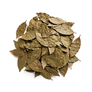 Huile essentielle de feuille de laurier 100% pure, distillée à la vapeur, matière première pour l'aromathérapie, pour diffuseur et soins de la peau, massage, tous types de peau - Product Image 2