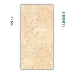I-WILSON INFINITE Baldosas de Porcelana Mate con Textura de Imitación de Piedra 600x1200 Diseño Minimalista Resistente a Ácidos Antibacteriano - Product Image 1