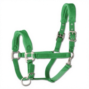 Harnais en cuir rembourré vert avec corde, réglable en nylon PP et ferrures métalliques pour usage équestre - Product Image 1