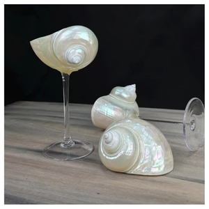 Natural Seashell Goblet Handmade Ocean Inspired Shell Cup Elegant Coastal Table Decoration for Wedding Party Beach Events - Product Image 4
