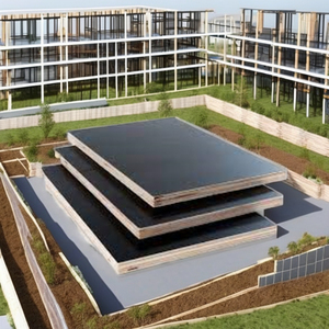 Contreplaqué filmé E1 ODM écologique poli A2 4ftx8ft 9-21mm résistant à l'eau, réutilisable 6-8 fois, pour cuisine, école, chambre - Product Image 1