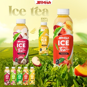 Boisson au thé glacé aux fruits en marque privée, 500 ml, en bouteille, prête à boire, boissons au thé à base de thé noir, fabricant de boissons OEM, échantillon gratuit - Product Image 6