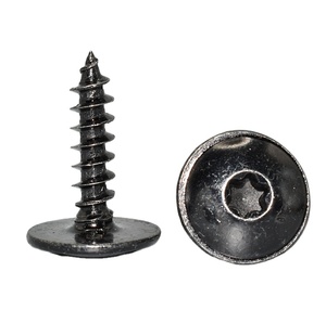 Tornillo Autorroscante Torx T25 de Alta Calidad con Cabeza de Arandela Redonda para Guardabarros y Cubiertas Inferiores, para Ford, Audi, Skoda, VW, Porsche N90775001 - Product Image 1
