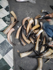 Cuerno Vikingo en Oferta, Cuerno de Buey Genuino de Primera Calidad, Grabado a Mano, Ecológico, Cuerno Animal, Cuerno Nórdico de Ganado, Corneta Antigua, Regalo de Boda - Product Image 6