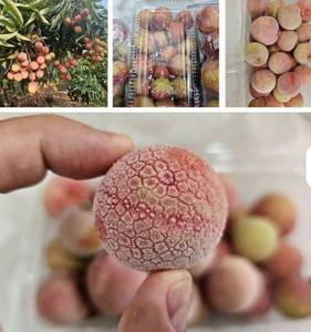 ส่งออกลิ้นจี่แช่แข็ง/ลิ้นจี่ iqf จากเวียดนาม/มิสเซลินา - Product Image 5