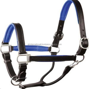 Licol de cheval en cuir anglais noir de confort supplémentaire fort et durable avec matériel de variante réglable en nickel ou en laiton massif - Product Image 1