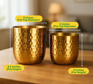 Macetas Metálicas para Plantas de Interior y Exterior, Decoración para Hogar y Jardín, Juego de 2 Macetas para Sala de Estar y Dormitorio - Product Image 3