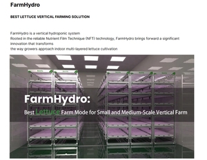 Reinfa sáng tạo hệ thống trồng rau diếp-Led phát triển ánh sáng, nổi bè, chi phí thấp - Product Image 5