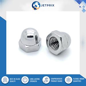 Écrou de finition en acier inoxydable de qualité supérieure, résistant à la corrosion, durable et fiable, d'origine indienne, disponible en tailles personnalisables - Product Image 2