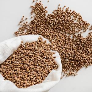 Babchi Seeds CO2 <b>Plant</b> Extract Food Grade Liquid CAN Herbal Extract with Vitamin - Product Image 6