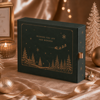 Boîte cadeau rigide de luxe personnalisée pour jouet en peluche de Noël, fermeture magnétique, estampage à chaud doré, gaufrage, insert en EVA UV, saison des fêtes