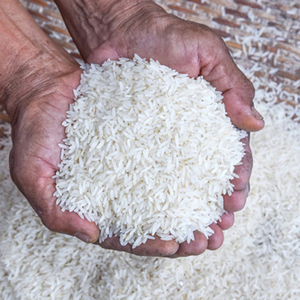 Arroz Basmati de Primera Calidad para Entrega a Todo el Mundo - Product Image 5