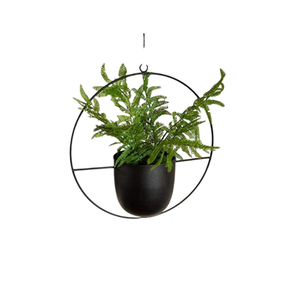 Ensemble de jardinières murales modernes en métal, pots à fleurs suspendus minimalistes en fer avec finition cuivrée pour plantes d'intérieur et plantes rampantes, décoration de jardin - Product Image 4