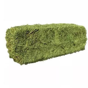 Heno de Alfalfa de Alta Calidad en Pellets y Pacas para Alimentación de Caballos, Cerdos y Peces - Empaque a Granel - Product Image 6