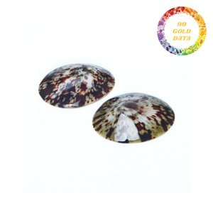 Coquilles de limpets en gros du Vietnam, coquillages naturels séchés pour fournitures artisanales, souvenirs et décoration - Product Image 3