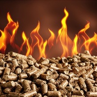 Livraison Express Granulés de Bois Premium Originaux Certifiés A1 99% de Cendres Sacs de 15kg Forme Bâton Densité 690 Origine France