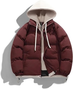Men Autumn Winter Casual Hooded Cotton Down <b>Coat</b> with Zipper Outdoor Windproof Jacket Standard Thickness Warm Puffer <b>Coat</b> - Product Image 4