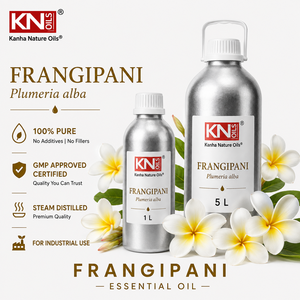 Huiles Naturelles Kanha, Huile Essentielle d'Absolue de Plumeria Alba Frangipani, 100% Pure, Distillée à la Vapeur, Aromathérapie, Parfums Naturels - Product Image 2