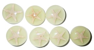 Cabochon Starfish Round 25x25 mm on Glow Flat Bottom for Crafts and Jewelry Making - Product Image 5