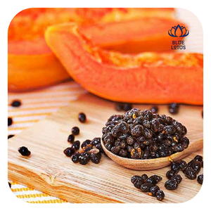 Graines de papaye séchées du Vietnam, qualité supérieure, export en vrac - Product Image 1