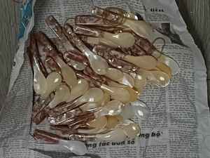 Cuchara Tradicional de Nácar para Sal y Azúcar, Cuchara de Concha Marina Natural con Acabado de Alto Brillo, Cuchara de Nácar para el Mercado Internacional - Product Image 6