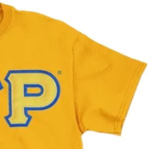 T-shirt brodé avec applique Sigma Gamma Rho, lettres grecques personnalisées, tee-shirt de sororité à manches courtes, col rond, doré - Product Image 4