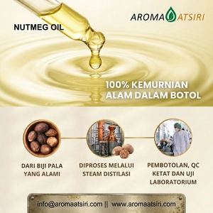 Aroma Atsiri Indonesia – Aceite Puro de Nuez Moscada de la India Oriental, Myristicin 10% (Cálido y Especiado) - Product Image 2