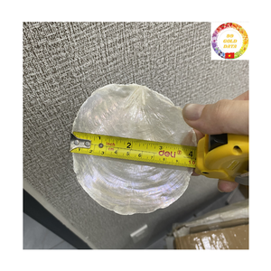 Capiz <b>Shell</b> for <b>Lighting</b> | Polished Round 50mm <b>Shell</b> Pieces | DIY Lamps Chandeliers | Factory Direct - Product Image 6