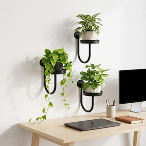 Support mural moderne en métal noir pour plantes avec porte-pot rond et cadre en U incurvé, décoration murale minimaliste - Product Image 6