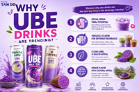 Café Latte Ube Marque Blanche 250ml Échantillon Gratuit Prêt à Boire – Boisson Café Latte Ube – Latte à l'Igname Violette – Recette Personnalisée – HACCP HALAL