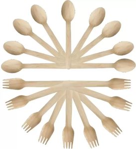 Cuchara Desechable de Madera de Abedul Natural de 155 mm, Acabado Liso, Ecológica, Biodegradable y Reciclable para Uso en Hoteles, Restaurantes y Servicios de Catering - Product Image 4