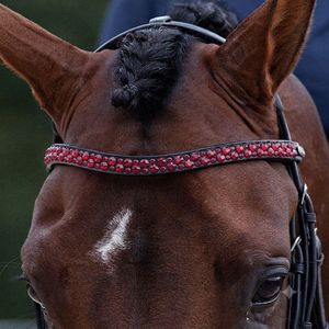 Nueva llegada: Diadema para caballo de cuero genuino con cristales rojos personalizados, incrustaciones brillantes de diamantes y formas variadas para brida. - Product Image 1