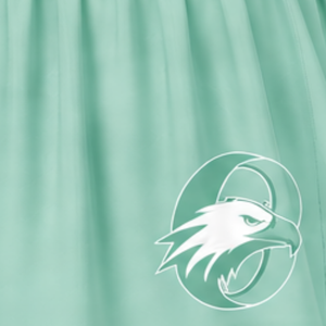Mint <b>Green</b> Cheerleading <b>Skirt</b> <b>Pleated</b> Athletic Uniform <b>Skirt</b> With Striped Trim Team Performance Wear Custom Sports Apparel - Product Image 3