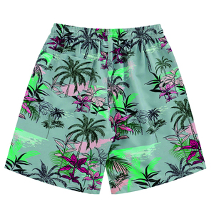 Shorts de sport décontractés en toile pour hommes, respirants et à séchage rapide, service OEM personnalisé, vente en gros, collection 2026 - Product Image 2