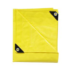 Bâche PE roulée-Bâche prête à l'emploi-UV-Fabriqué au Vietnam-Technologie coréenne-Prix compétitif-Bâche personnalisée - Product Image 1