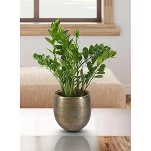 Florero Moderno de Metal para Apartamento, Villa, Oficina y Soluciones de Decoración para Hostelería, Florero Decorativo de Metal Moderno Premium - Product Image 3