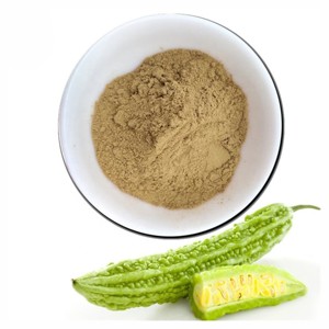 Polvo de Melón Amargo 100% Puro y Natural al por Mayor, Polvo de Momordica Charantia de Alta Calidad de la India - Product Image 3