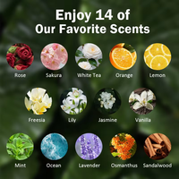 Huile Essentielle Végétale Naturelle Pure pour la Maison 10 ml Soin Massage Thé Lavande Eucalyptus Menthe Orange Ingrédients Échantillon Personnalisé