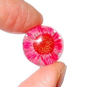 Flor de Daisy Fleabane, Espécimen Real en Cabujón de Plástico Redondo de 19x19 mm, Base Plana Transparente, Moderno, para Manualidades y Joyería - Product Image 2