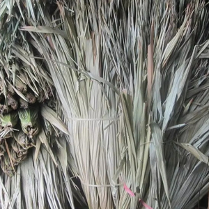 Feuilles de palmier séchées 100% naturelles, décoration d'intérieur durable, fabricant respectueux de l'environnement, feuilles de palmier séchées personnalisées - Product Image 3