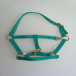 Harnais pour cheval en nylon violet et turquoise avec quincaillerie dorée, collier réglable, fabricant Equine Riding House Kanpur Inde - Product Image 5