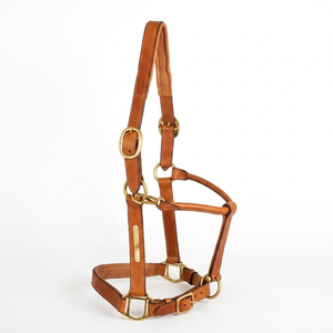 Fabricante de Cabestros de Cuero para Caballos Personalizables, Cabestro de Cuero Inglés de Alta Calidad para Carreras de Caballos a los Mejores Precios - Product Image 6