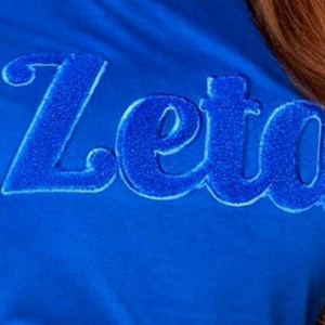 เสื้อยืด Zeta Phi Beta สีน้ำเงิน ผ้าเชนิลล์ ปักลายตัวอักษรสำหรับผู้หญิง สไตล์ลำลองแบบชมรม ผ้าเนื้อนุ่มพรีเมียม - Product Image 4